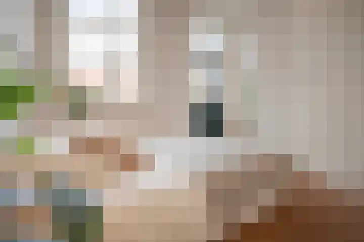 Oudewand 17 a Zutphen thumbnail 21