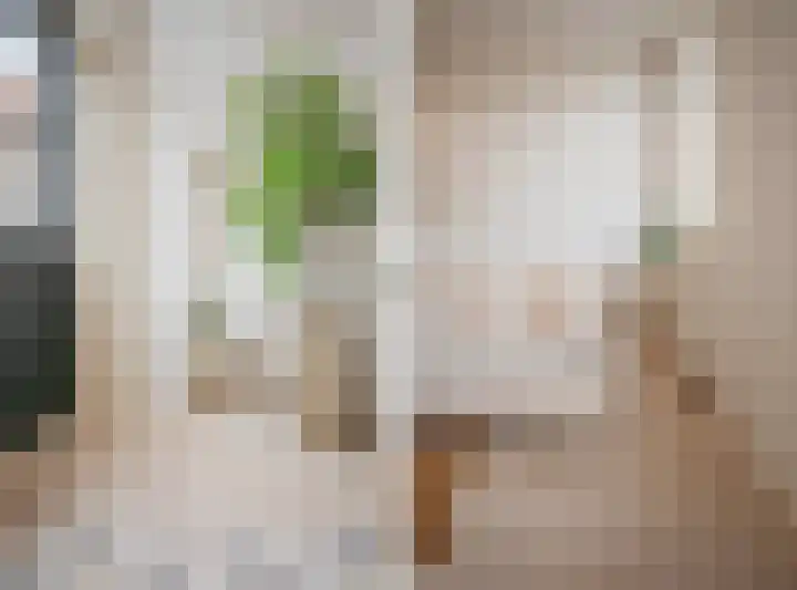 Oudewand 17 a Zutphen thumbnail 22