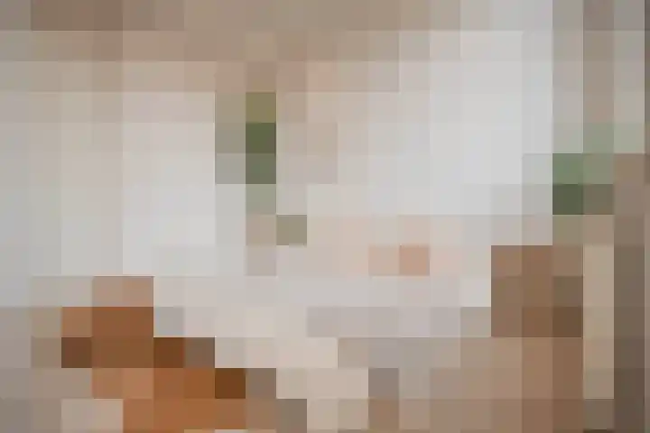 Oudewand 17 a Zutphen thumbnail 23