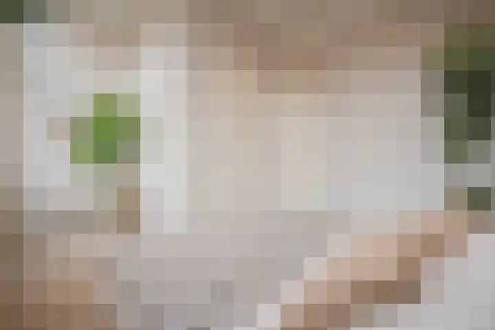 Oudewand 17 a Zutphen thumbnail 24
