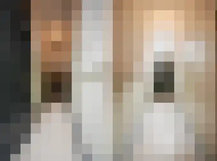 Oudewand 17 a Zutphen thumbnail 4