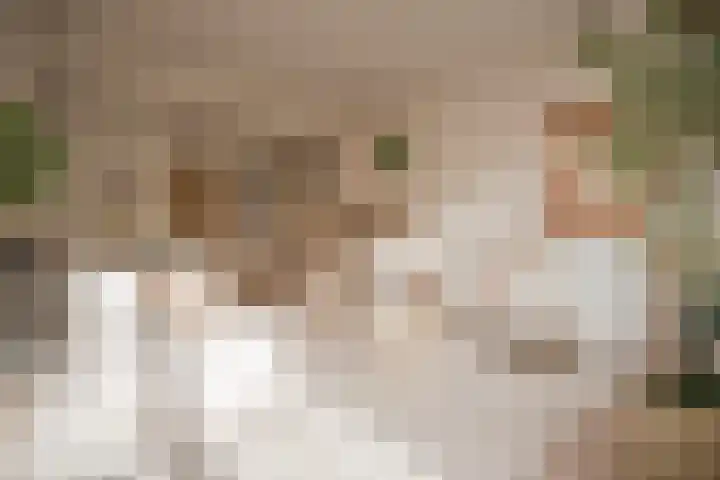 Oudewand 17 a Zutphen thumbnail 8