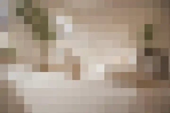 Oudewand 17 a Zutphen thumbnail 9
