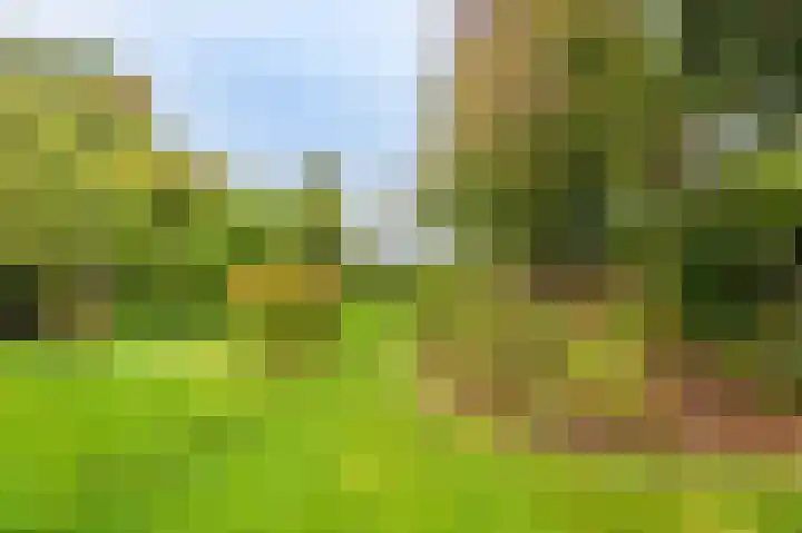 Oudeweg 1 Beerta thumbnail 4