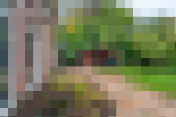 Oudeweg 1 Beerta thumbnail 49