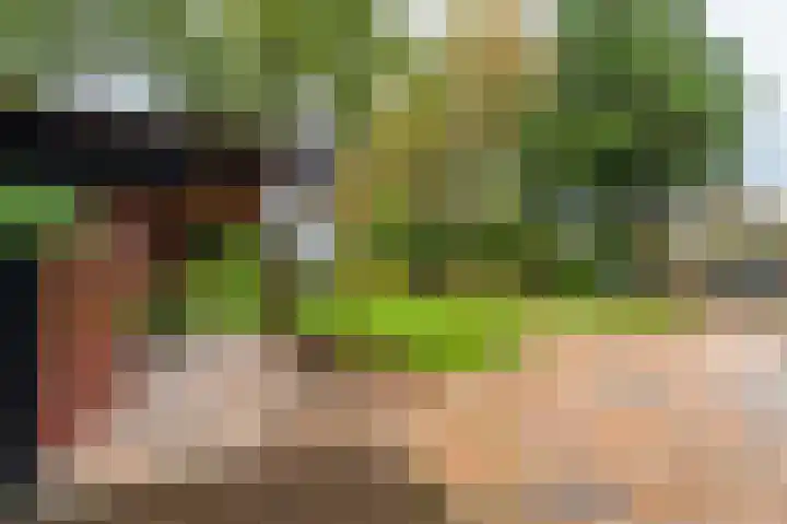 Oudeweg 1 Beerta thumbnail 50