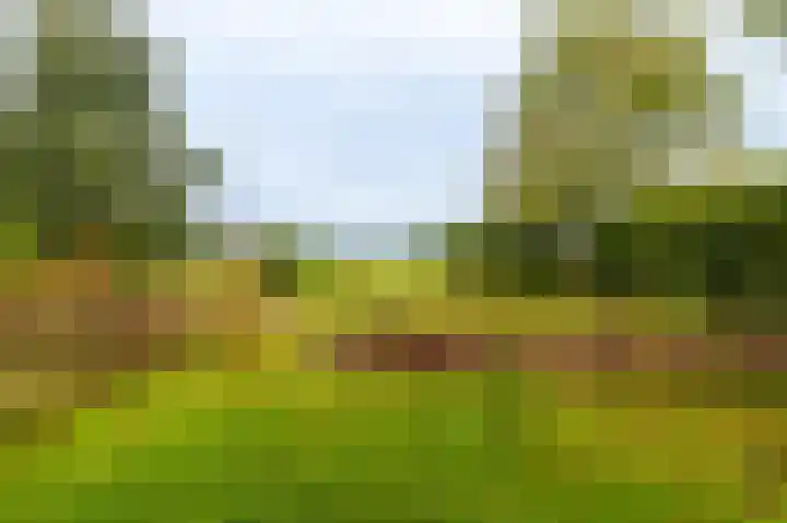 Oudeweg 1 Beerta thumbnail 56