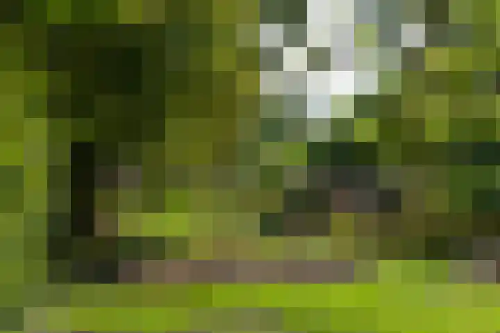 Oudeweg 1 Beerta thumbnail 57