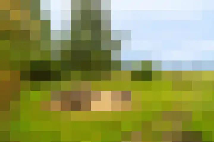 Oudeweg 1 Beerta thumbnail 59