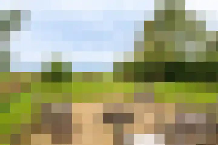 Oudeweg 1 Beerta thumbnail 60