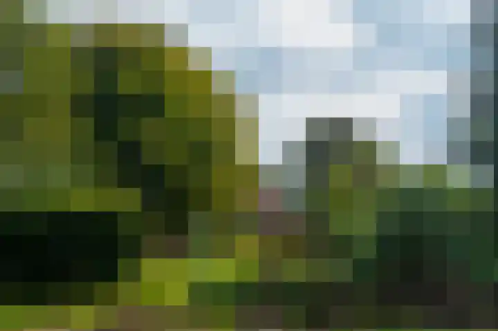 Oudeweg 1 Beerta thumbnail 64