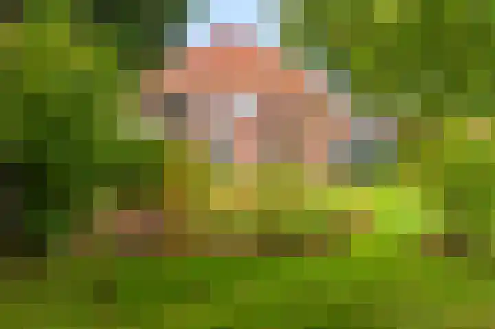 Oudeweg 1 Beerta thumbnail 66