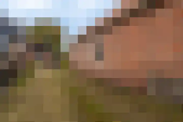 Oudeweg 1 Beerta thumbnail 68