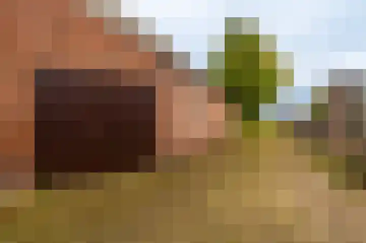 Oudeweg 1 Beerta thumbnail 69