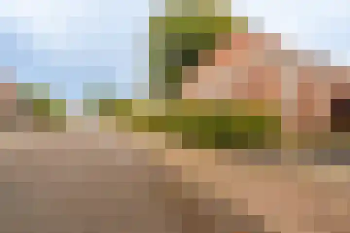 Oudeweg 1 Beerta thumbnail 72