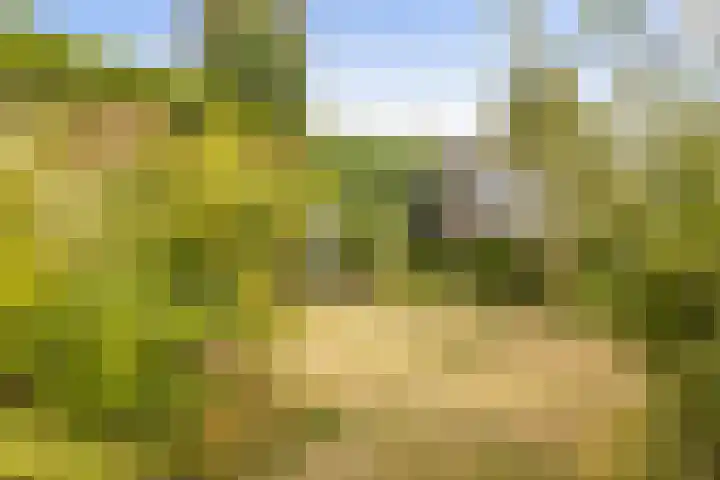 Oudeweg 10 Sittard thumbnail 34