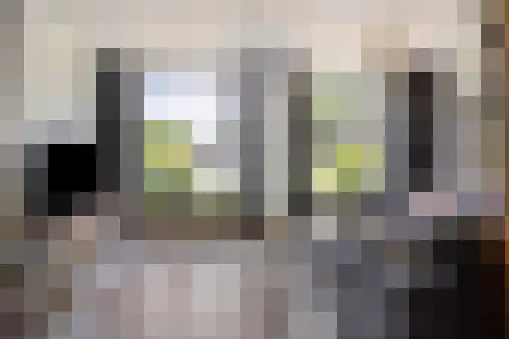 Oudeweg 113 Westerbroek thumbnail 6