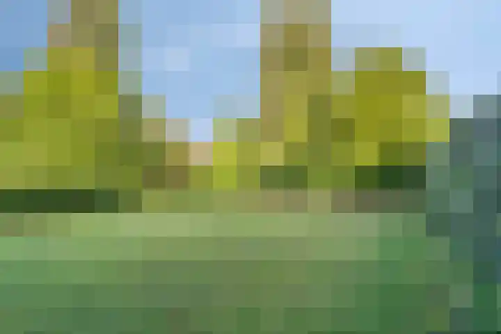 Oudeweg 23 Swalmen thumbnail 41