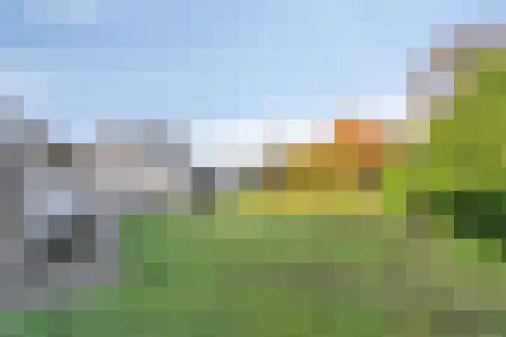 Oudeweg 23 Swalmen thumbnail 43