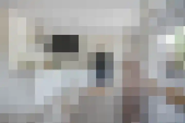 Oudeweg 33 Swalmen thumbnail 10