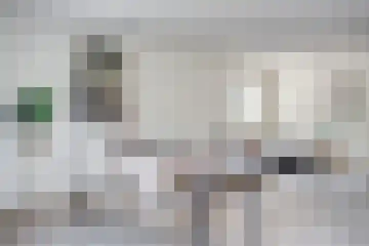 Oudeweg 33 Swalmen thumbnail 17