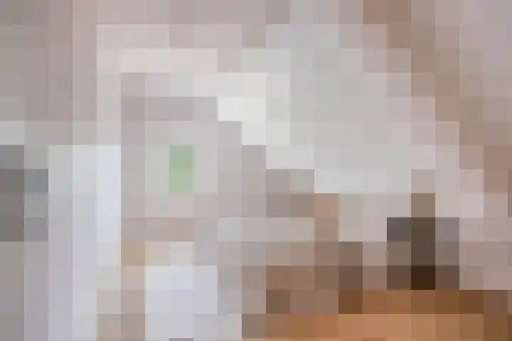 Oudeweg 33 Swalmen thumbnail 30