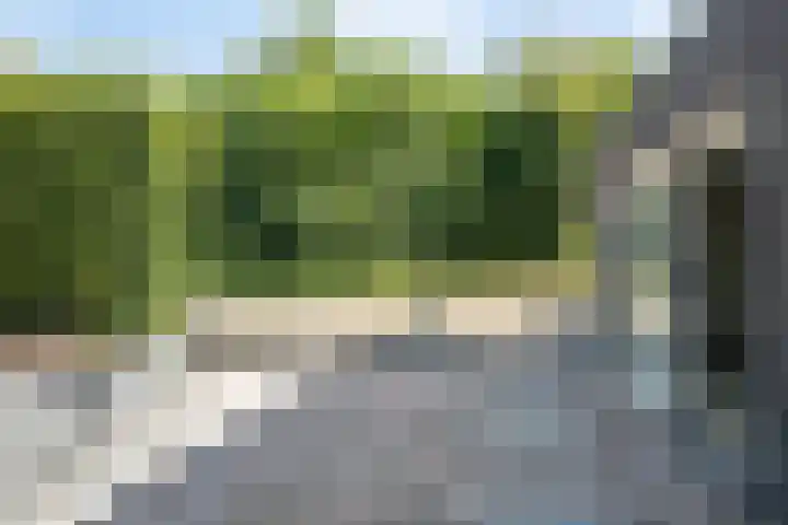 Oudeweg 33 Swalmen thumbnail 41