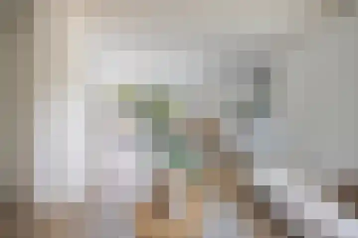Oudeweg 33 Swalmen thumbnail 7