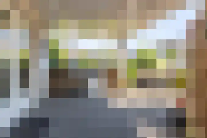 Oudeweg 63 Siddeburen thumbnail 24