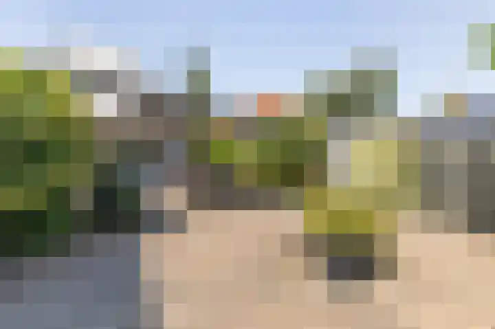 Oudeweg 63 Siddeburen thumbnail 4