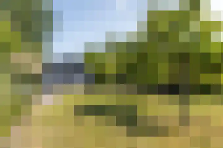 Oudeweg 63 Siddeburen thumbnail 45