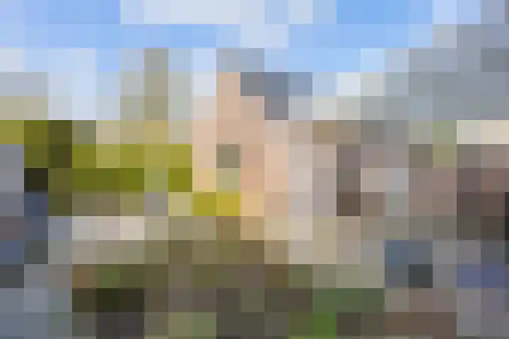 Oudeweg 82 A Siddeburen thumbnail 56