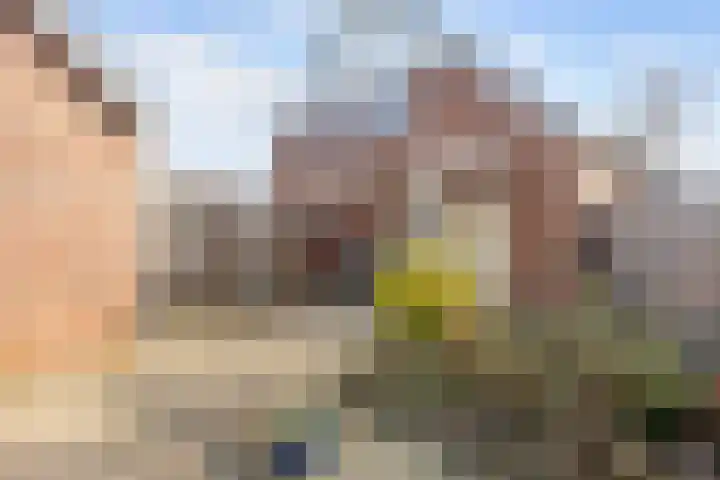 Oudeweg 82 A Siddeburen thumbnail 60