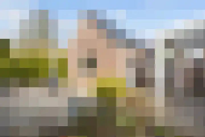 Oudeweg 82 A Siddeburen thumbnail 61