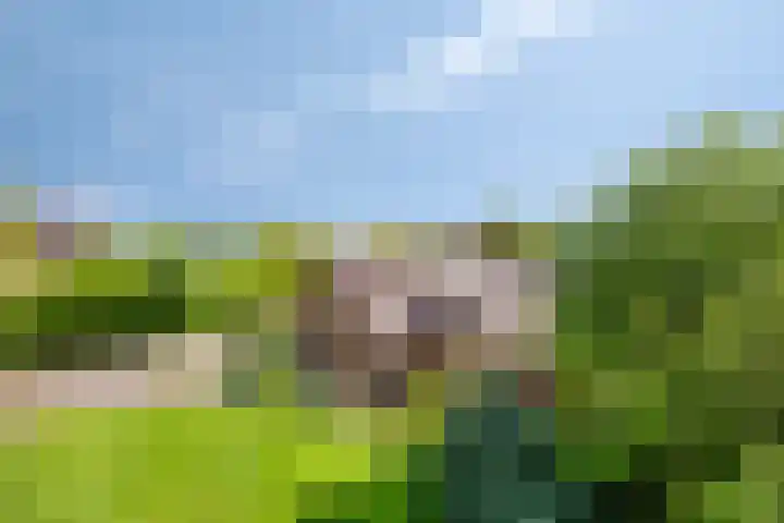Oudewijk 32 Zevenhuizen thumbnail 11