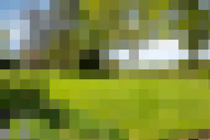 Oudewijk 32 Zevenhuizen thumbnail 14