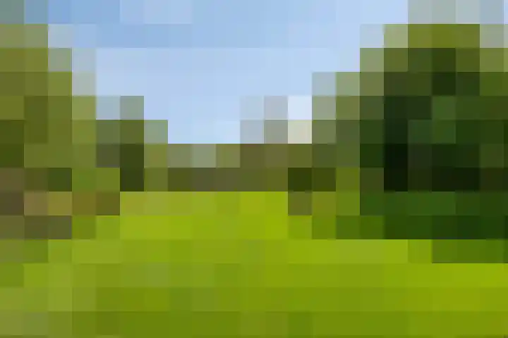 Oudewijk 32 Zevenhuizen thumbnail 63