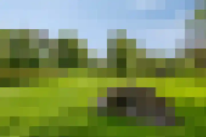 Oudewijk 32 Zevenhuizen thumbnail 64