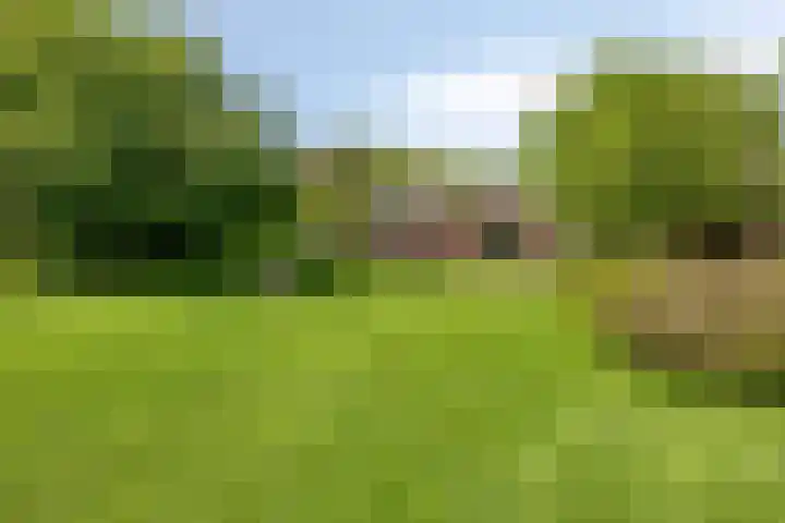 Oudewijk 32 Zevenhuizen thumbnail 66