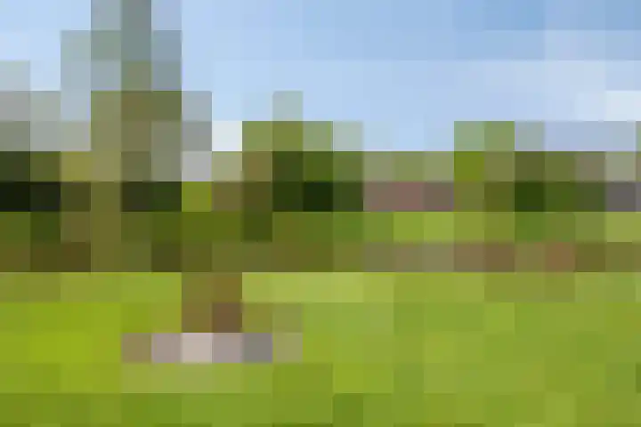 Oudewijk 32 Zevenhuizen thumbnail 68