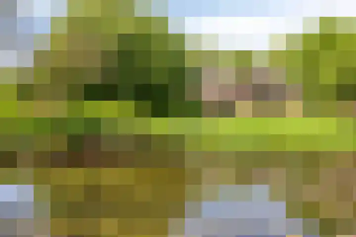 Oudewijk 32 Zevenhuizen thumbnail 69