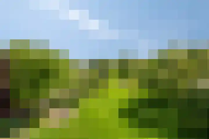 Oudewijk 32 Zevenhuizen thumbnail 72