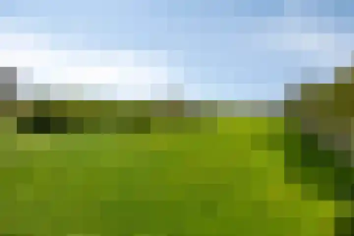 Oudewijk 32 Zevenhuizen thumbnail 74