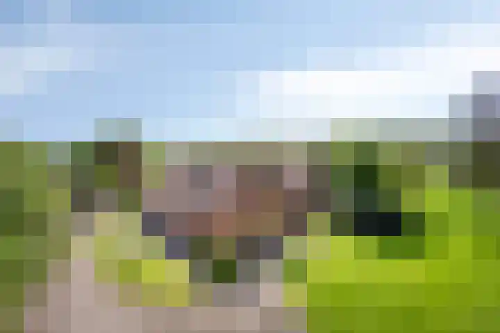 Oudewijk 32 Zevenhuizen thumbnail 76