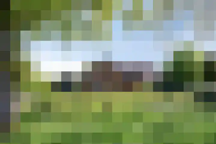 Oudewijk 32 Zevenhuizen thumbnail 8