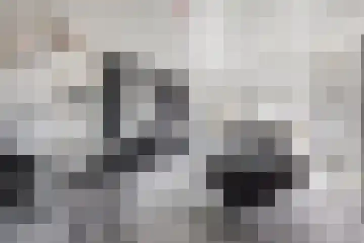 Oudiestaete 110 Alkmaar thumbnail 18