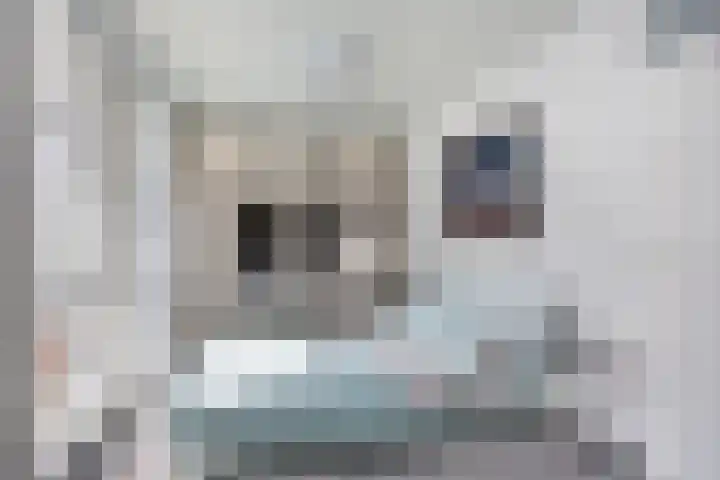 Oudiestaete 110 Alkmaar thumbnail 26