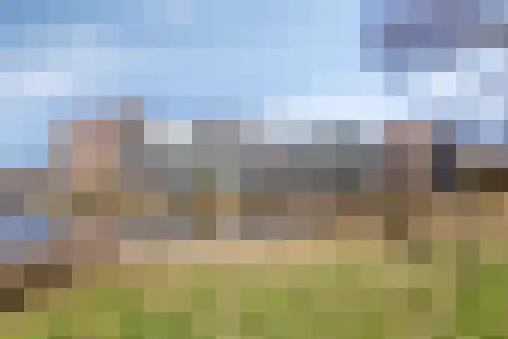 Oudiestaete 110 Alkmaar thumbnail 36