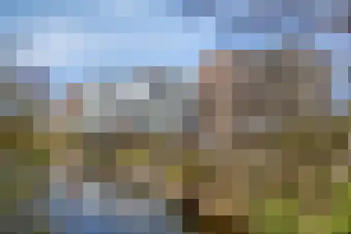 Oudiestaete 110 Alkmaar thumbnail 6