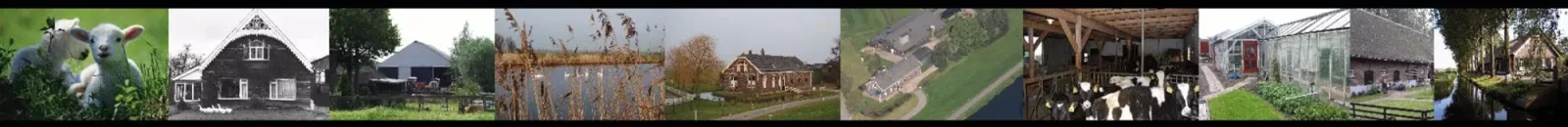 Team foto van Oudijk Makelaardij B.V.